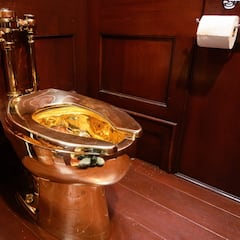 Un hombre roba un inodoro de 6 millones de dólares