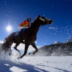 Las mejores imágenes deportivas que dejó 2016