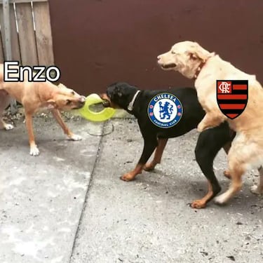 Los memes más divertidos del fin de semana