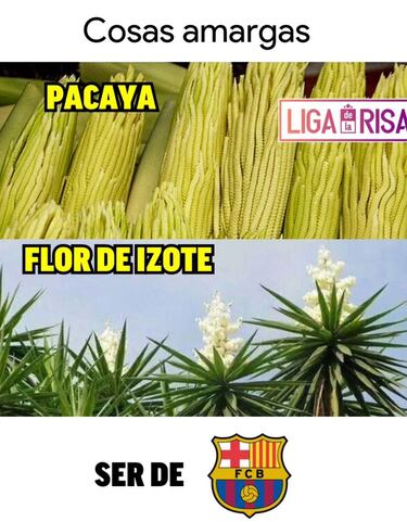 Los memes más divertidos del fin de semana