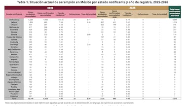 Primera muerte de sarampión del 2026 se registra en Michoacán: ¿cuáles son los estados con más casos?