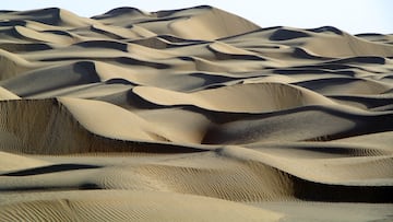 China anuncia un logro extraordinario con la muralla verde en mitad del temido desierto de arenas movedizas