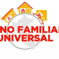 Bono Familiar Universal: link y cómo ver con DNI quién puede cobrarlo hoy, 11 de febrero