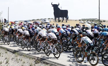 ¿Cuántos toros de Osborne quedan en España, dónde están y cuántos hay en todo el mundo?