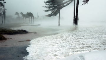 Los residentes del sur de California hacen los últimos preparativos ante la llegada de la tormenta Hilary.  Estos son los números en caso de emergencia.