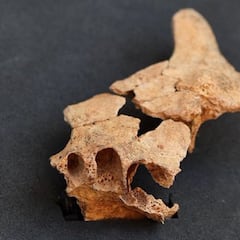 Hallazgo en Atapuerca: la cara del homínido más antiguo de Europa