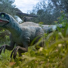 Viaje al Jurásico: 6 experiencias para sumergirse en la era de los dinosaurios