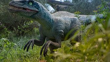 Viaje al Jurásico: 6 experiencias para sumergirse en la era de los dinosaurios