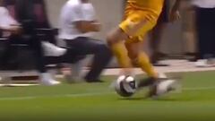 Insólito: ¡un gato frenó un ataque del Tigres de Vargas!