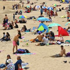 Curva y mapa de casos, contagios y muertes por región en Chile, hoy, 16 de noviembre