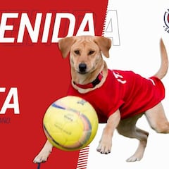 San Luis encontró a 'Tunita' y la anunció como refuerzo