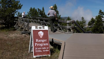 Concern has stemmed from videos showcasing a series of animals fleeing the famous park the iconic park.