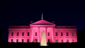 One in eight women in the United States will develop breast cancer during their life. One way the cancer, or a mass, can be seen is through an ultrasound.