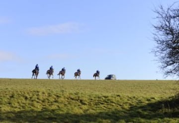 El paraíso de los caballos