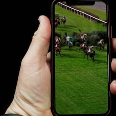 El Grand National virtual recauda 3 M€ para la sanidad británica