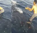 Dos pescadores surfean sobre un gran tiburón ballena