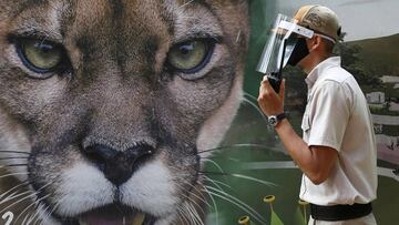 Coronavirus en Colombia: casos, muertes y últimas noticias, hoy 22 de junio