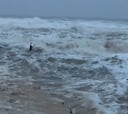 Aprovecha las inundaciones en Portugal para surfear una riada y acaba arrastrado hasta el mar