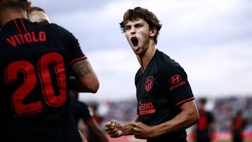 João Félix celebra el gol del Vitolo en Butarque.