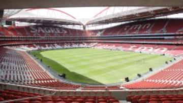 El Benfica jugará fuera de La Luz por el mal estado del césped