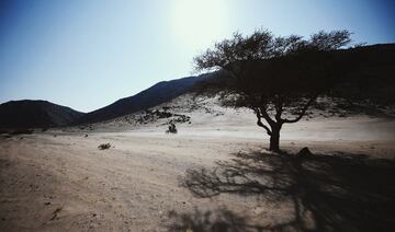 Las mejores imágenes de la cuarta etapa del Rally Dakar