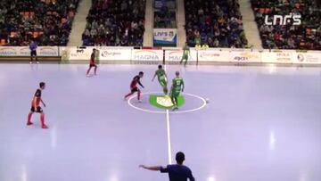 Resumen del Magna Gurpea - Aspil Vidal Navarra de la LNFS