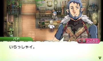 Captura de pantalla - Rune Factory 4 (3DS)