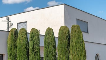 Árboles de un jardín