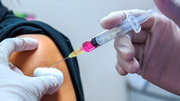 Cómo protegerse de contraer rabia humana: qué es, síntomas y medidas preventivas