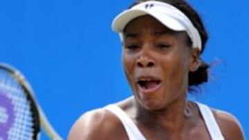 Venus Williams