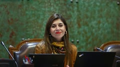 Resultados Elecciones Parlamentarias Distrito 4: diputados y senadores electos en Atacama, Copiapó y Vallenar...