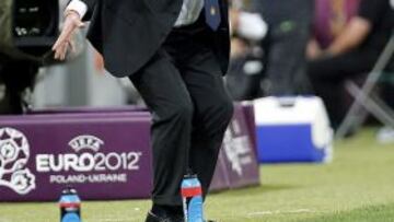 Del Bosque celebra la clasificación de España.