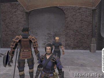 Captura de pantalla - mini_ffxi_meri_29.jpg