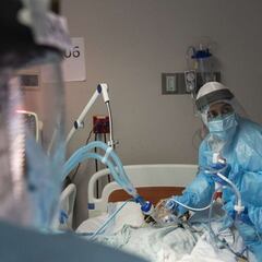 Desvelan el tiempo de inmunidad que se podría alcanzar tras el contagio