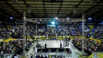 Imagen de un show de AFL.