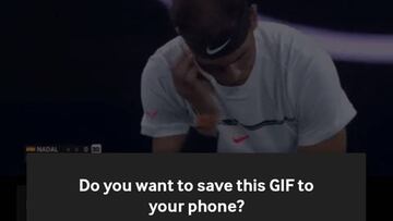 Cómo descargar los GIF de Giphy para mandarlos por WhatsApp