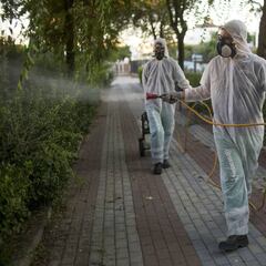 La Fiebre del Nilo podría llegar a toda la península en los meses de más calor