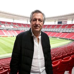 Vergara: "América no representa a México"