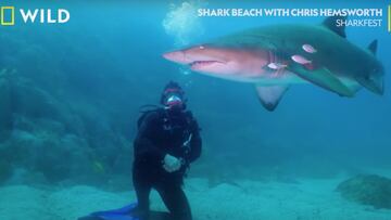 El actor y surfista Chris Hemsworth, vestido de buzo, frente a un tibur&oacute;n en el documental Shark Beach with Chris Hemsworth de National Geographic Wild. 