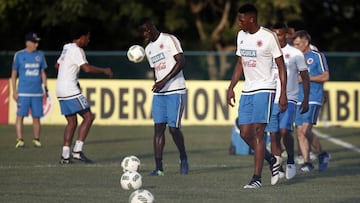 D&aacute;vinson y Mina gozan de un gran presente en la Selecci&oacute;n Colombia.