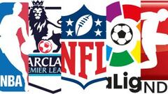 Top 20 professional sports leagues in the world by revenue