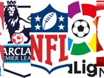 According to the financial specialist website howmuch.net, these are the twenty most wealthy sports leagues in the world.