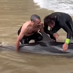 Dos surfistas salvan a un delfín en la playa de Mataleñas