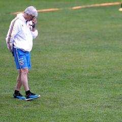 Las lesiones demuestran que en la Selección hay recambio