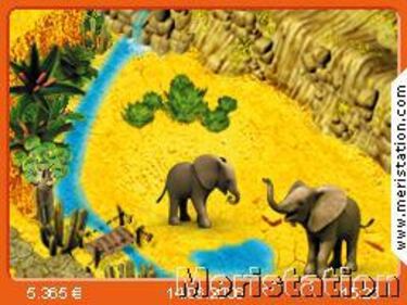 Conviértete en veterinario en My Animal Centre in Africa