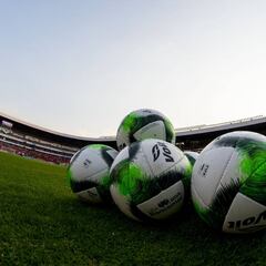 El Apertura 2019 de la Liga MX se jugará con 19 equipos