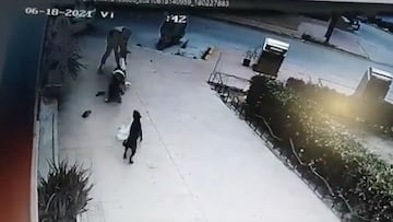 Salva la vida a una niña de 2 años tras el ataque de un perro