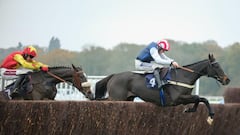 Bowtogreatness, nuestro favorito para Newcastle a cuota 5.0