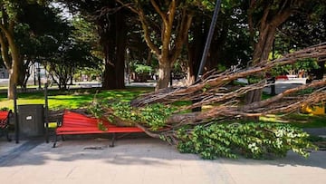 Salvajes vendavales en Punta Arenas: cuáles han sido los daños