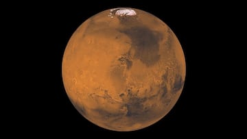 Imagen del planeta Marte.
NASA